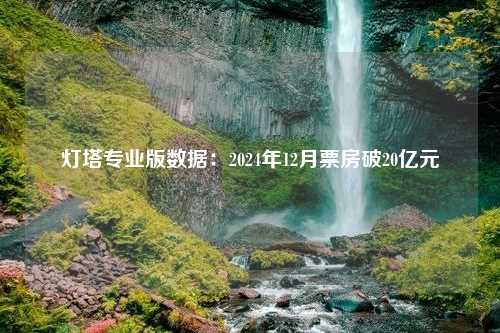 灯塔专业版数据：2024年12月票房破20亿元