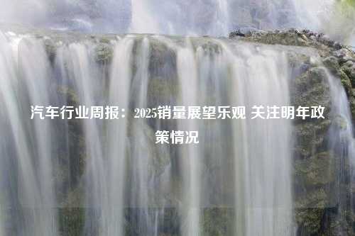 汽车行业周报：2025销量展望乐观 关注明年政策情况