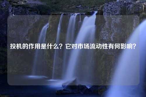 投机的作用是什么？它对市场流动性有何影响？