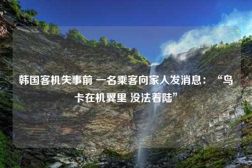 韩国客机失事前 一名乘客向家人发消息：“鸟卡在机翼里 没法着陆”