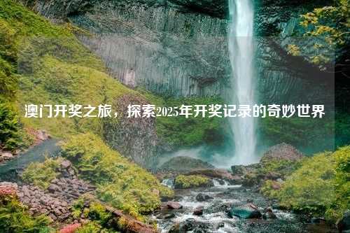 澳门开奖之旅，探索2025年开奖记录的奇妙世界