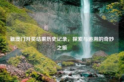 新澳门开奖结果历史记录，探索与追溯的奇妙之旅