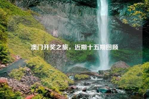 澳门开奖之旅，近期十五期回顾