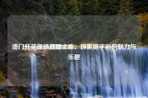 澳门开奖现场直播之旅，探索数字彩的魅力与乐趣