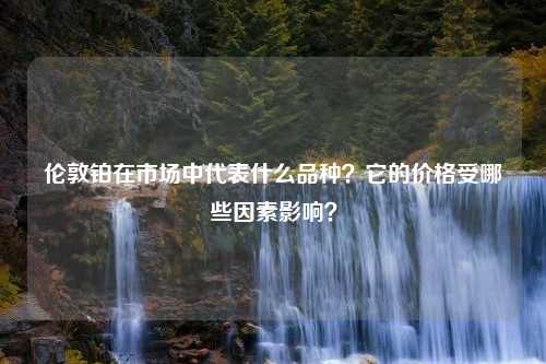 伦敦铂在市场中代表什么品种？它的价格受哪些因素影响？