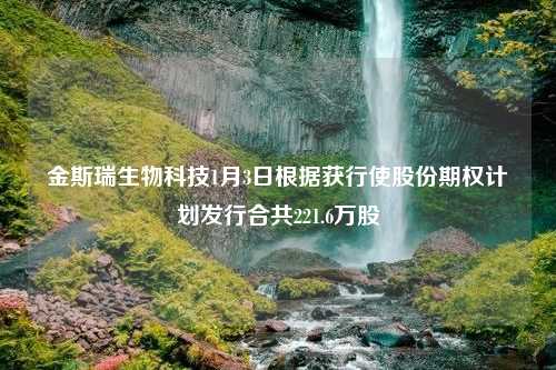 金斯瑞生物科技1月3日根据获行使股份期权计划发行合共221.6万股