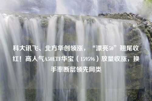 科大讯飞、北方华创领涨，“漂亮50”翘尾收红！高人气A50ETF华宝（159596）放量收涨，换手率断层领先同类